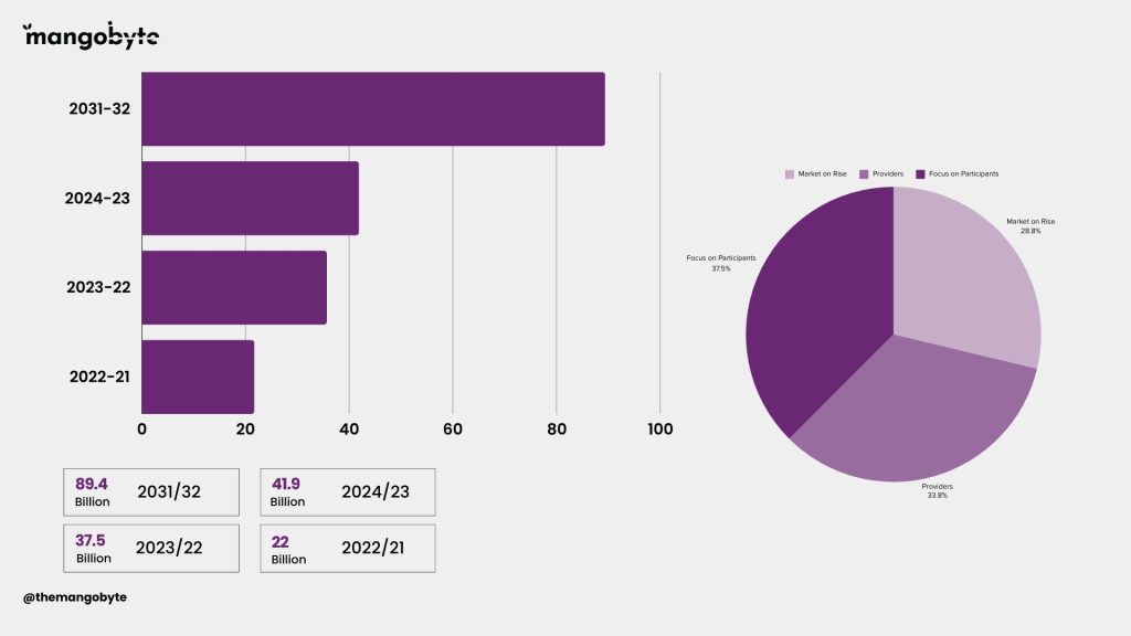 Top NDIS Providers Revenue