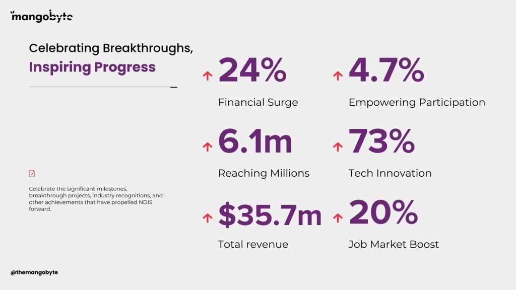 Top NDIS Providers Progress